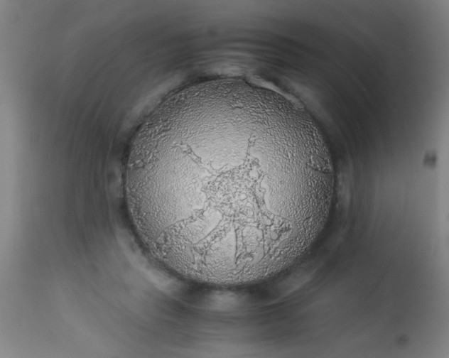 X0000114170453200910221655