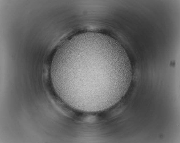 X0000114170456200910221655