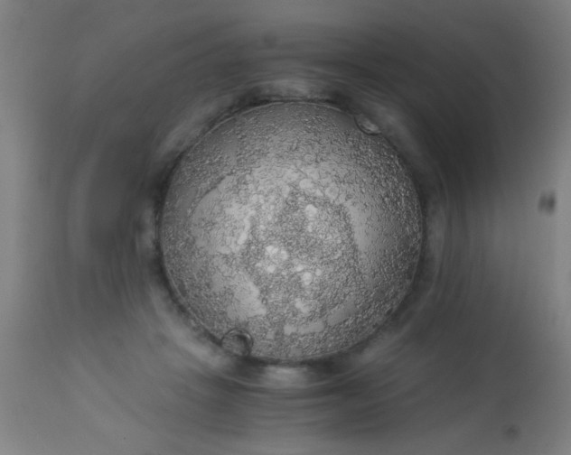 X0000114170457200910221655