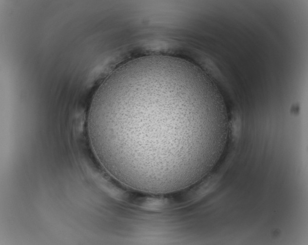 X0000114170458200910221655