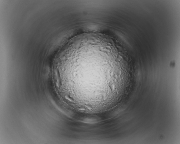 X0000114170459200910221655