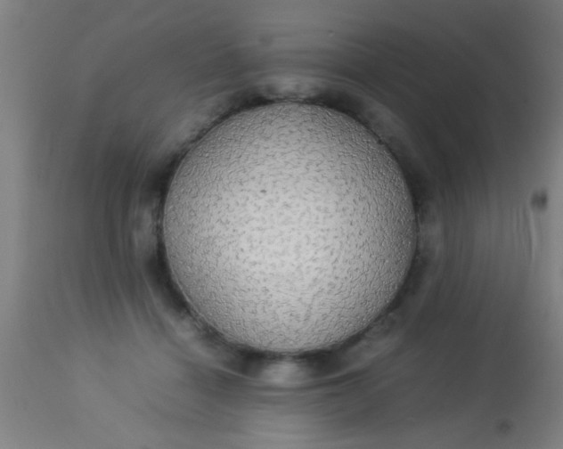 X0000114170460200910221655