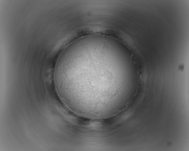 X0000114170462200910221655