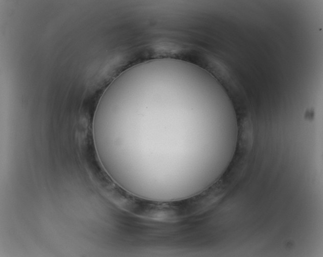 X0000114170463200910221655