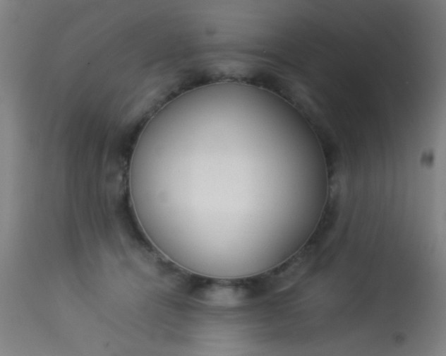 X0000114170464200910221655