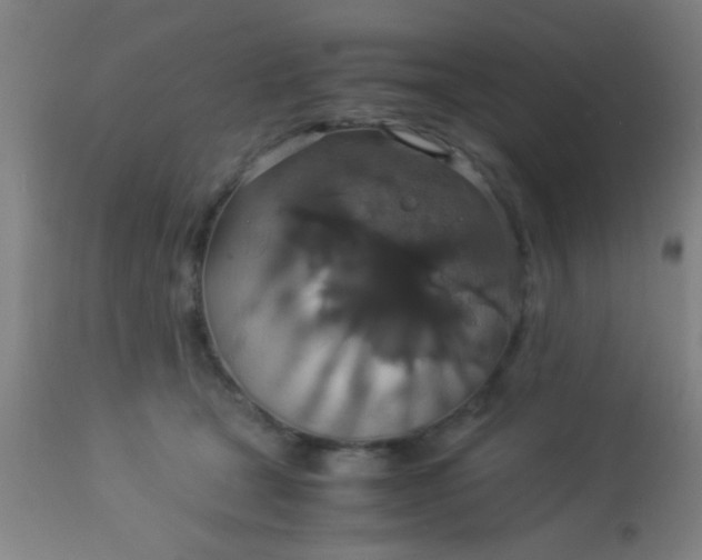 X0000114170465200910221655