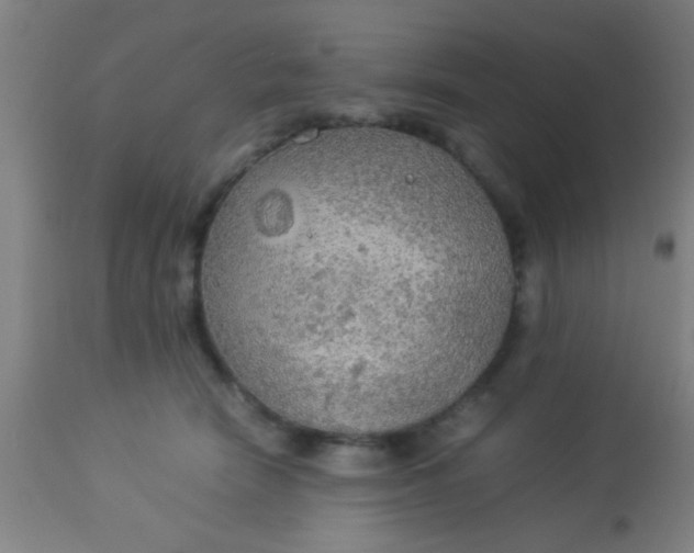 X0000114170466200910221655