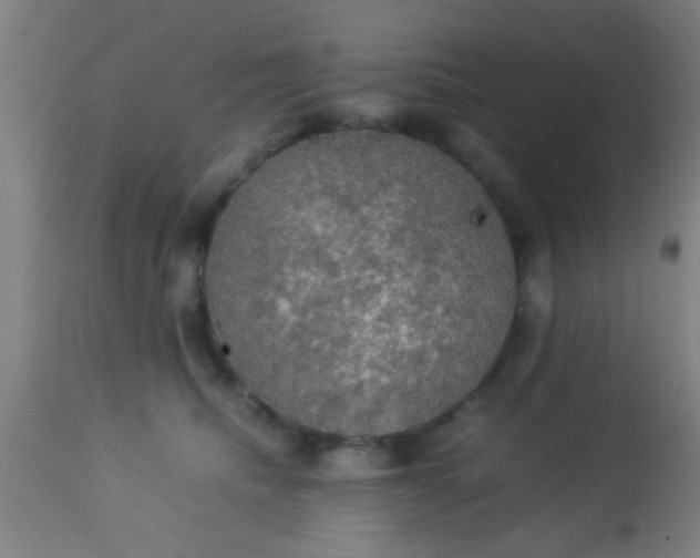 X0000114170468200910221655