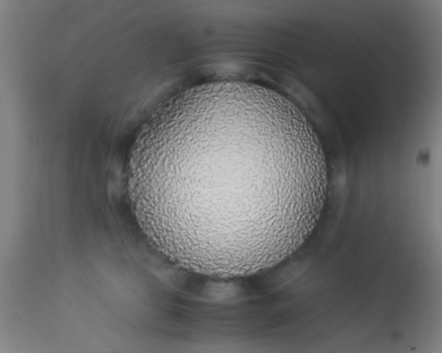 X0000114170469200910221655