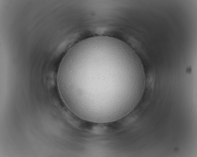 X0000114170470200910221655