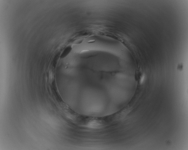 X0000114170471200910221655