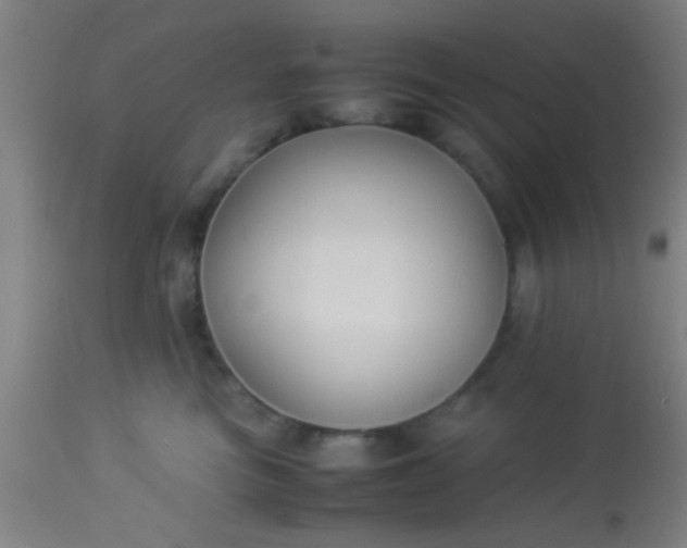 X0000114170473200910221655