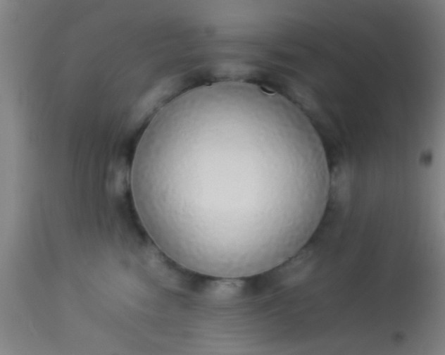 X0000114170474200910221655