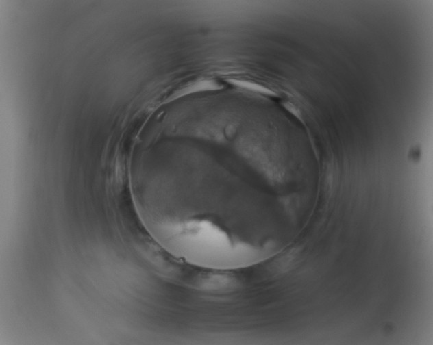 X0000114170475200910221655