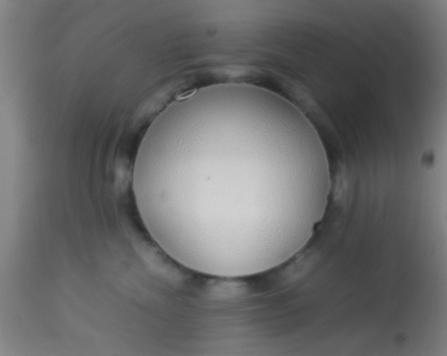 X0000114170476200910221655