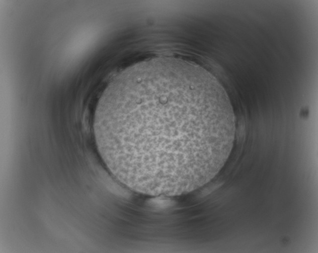 X0000114170477200910221655