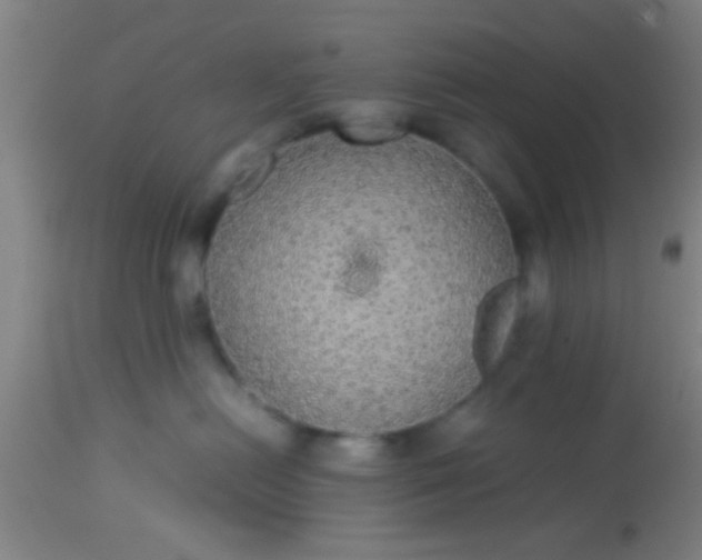 X0000114170478200910221655