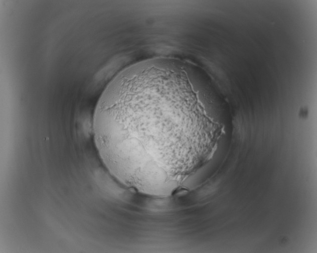 X0000114170479200910221655