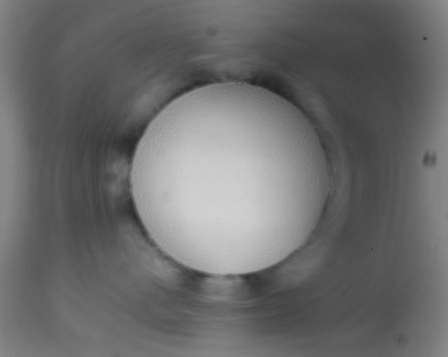 X0000114170480200910221655