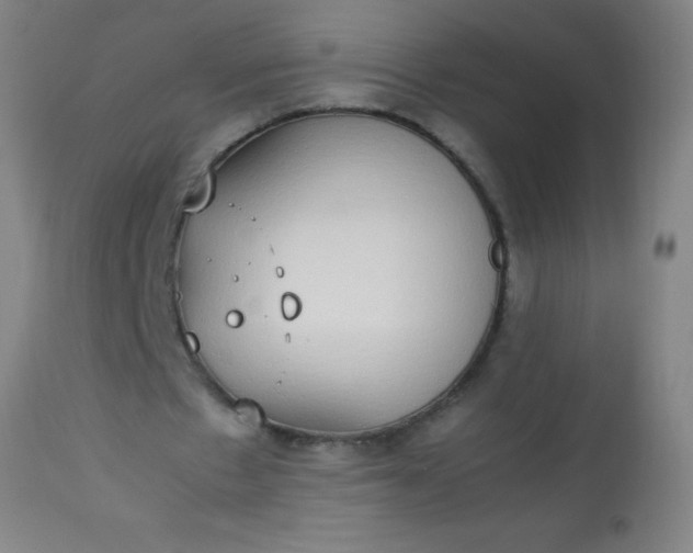 X0000114170481200910221654