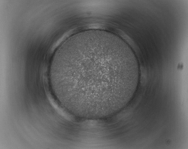 X0000114170482200910221654