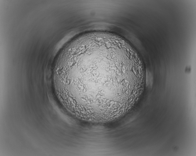 X0000114170483200910221654