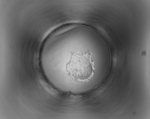 X0000114170484200910221654