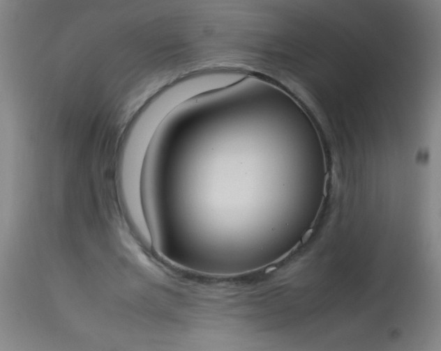 X0000114170485200910221654