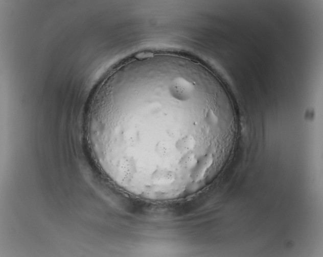 X0000114170487200910221654