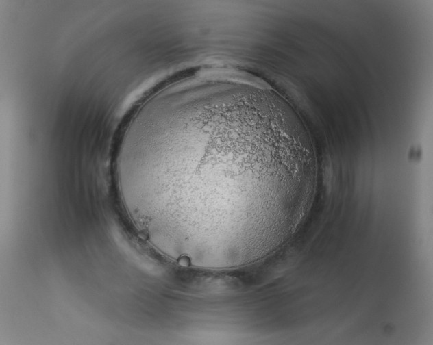 X0000114170488200910221654