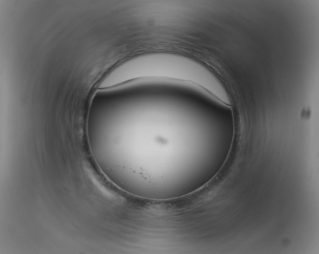 X0000114170489200910221654