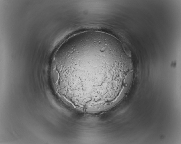 X0000114170491200910221654