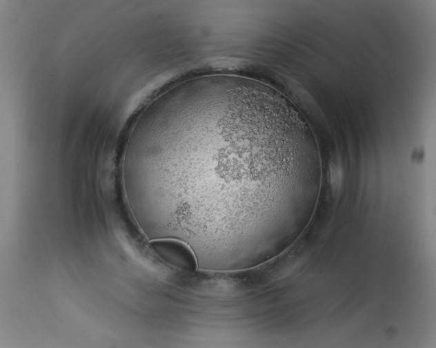 X0000114170492200910221654