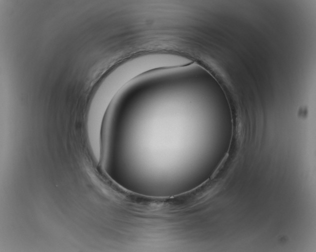 X0000114170493200910221654