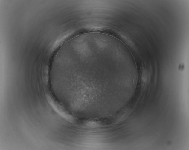 X0000114170494200910221654