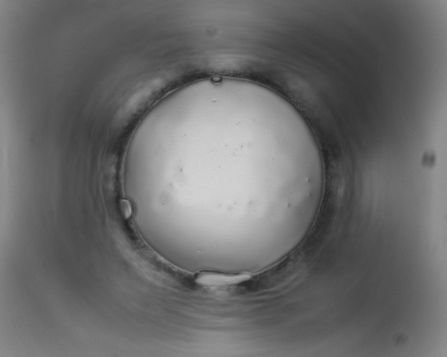 X0000114170495200910221654