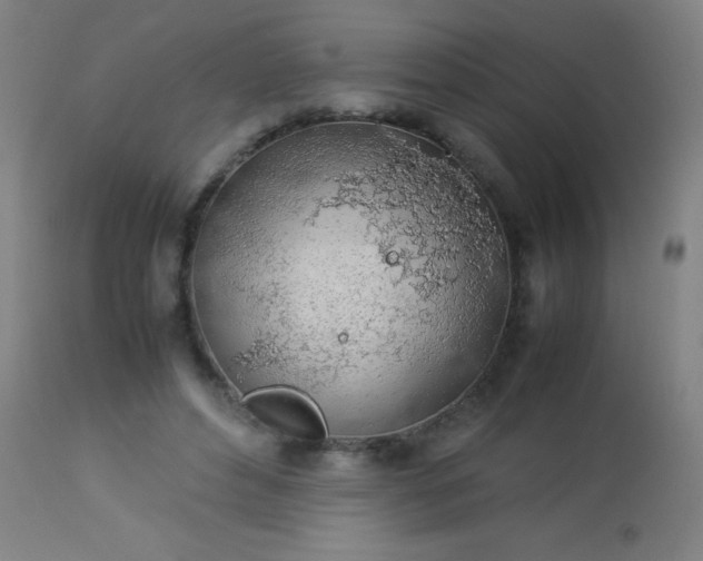 X0000114170496200910221654