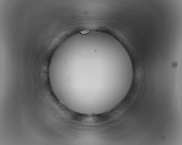 X0000114170497200910221654