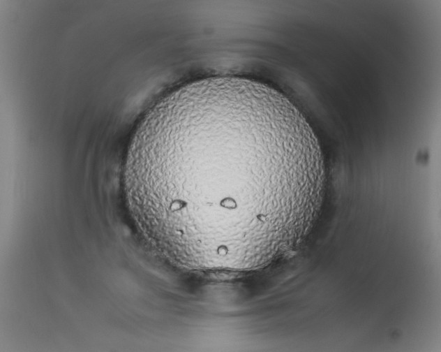 X0000114170499200910221654