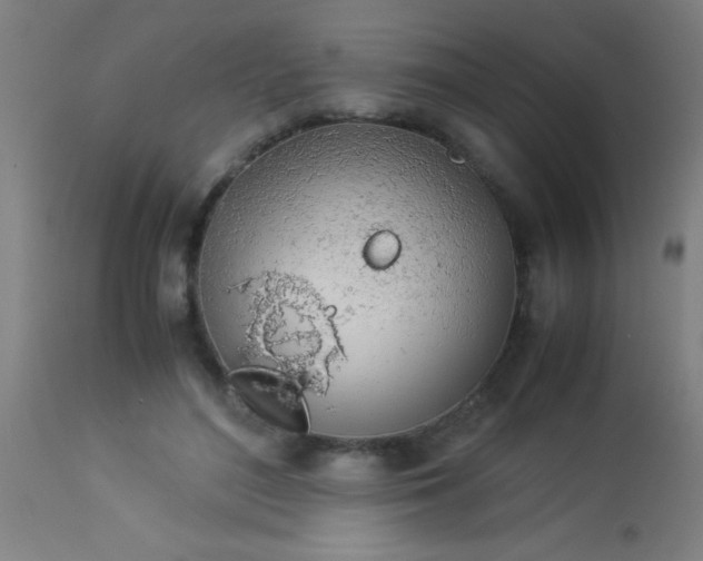 X0000114170500200910221654