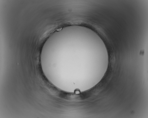 X0000114170501200910221654