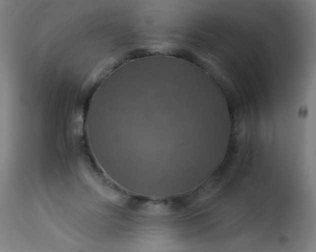 X0000114170502200910221654