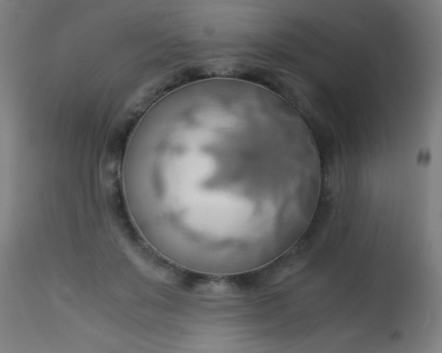 X0000114170503200910221654