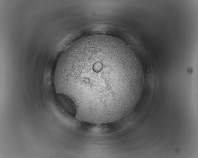 X0000114170504200910221654