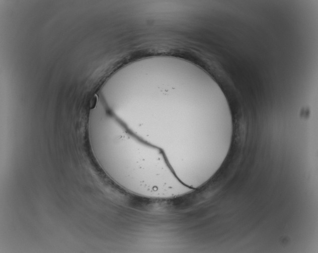 X0000114170505200910221654