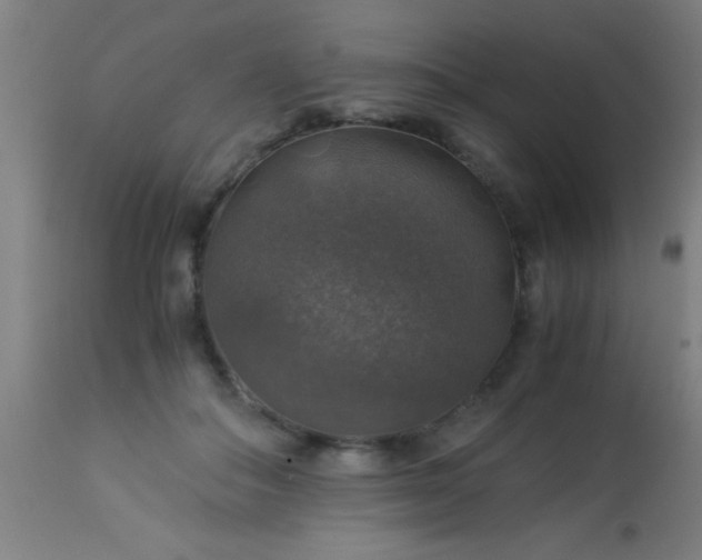 X0000114170506200910221654