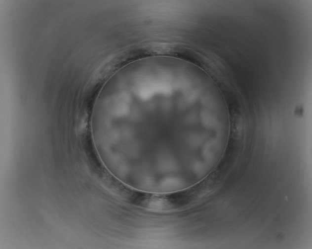 X0000114170507200910221654