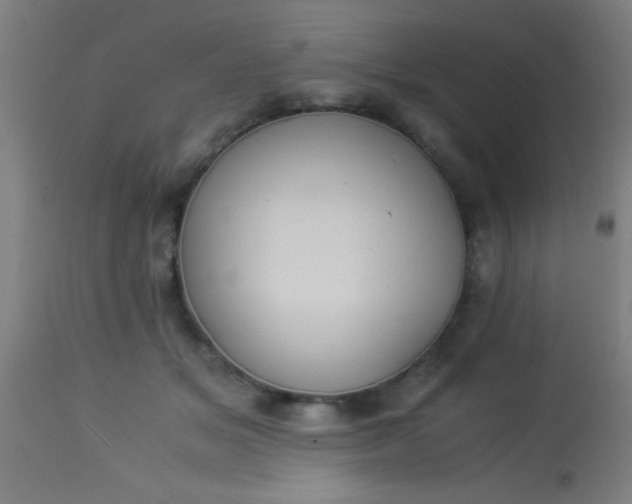 X0000114170509200910221654