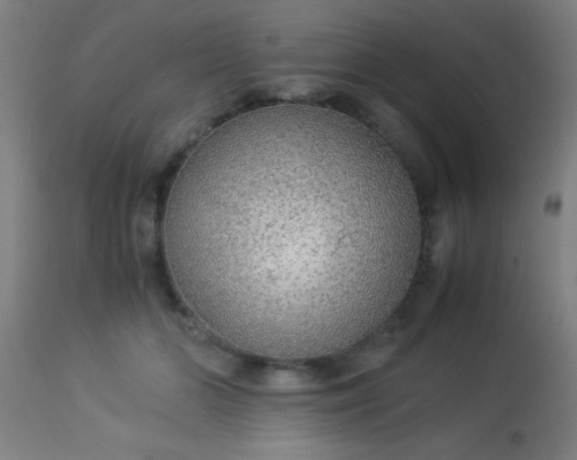 X0000114170510200910221654