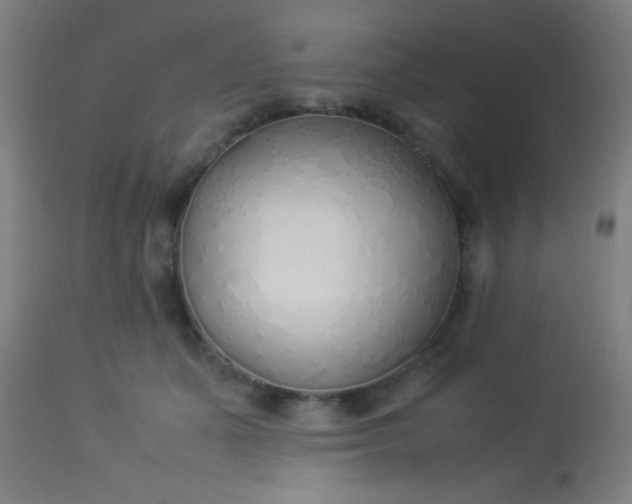 X0000114170511200910221654